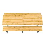 Festbank Bierzeltgarnitur 217 x 48/24 cm von oben