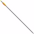man-kung-enterprise-co-ltd-fiberglaspfeil-laenge-28-zoll.jpg Fiberglaspfeil Länge 28 Zoll Vorderseite