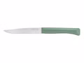 opinel-bon-app-tit-plus-12er-set-tafelmesser-salbeigruen-002195.jpg Opinel Bon-Appétit Plus 12er-Set Tafelmesser „Salbeigrün“ 002195 Vorderseite