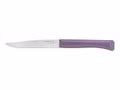 opinel-bon-app-tit-plus-12er-set-tafelmesser-violet-002191.jpg Opinel Bon-Appétit Plus 12er-Set Tafelmesser „Violet“ 002191 Vorderseite