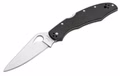 Spyderco-Cara-Cara-G10-Glatt-01SP1200P_1.jpg