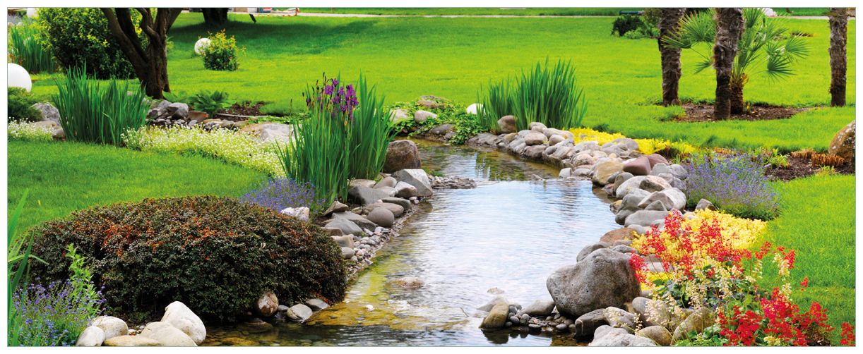 Glasbild Blumen am Teich