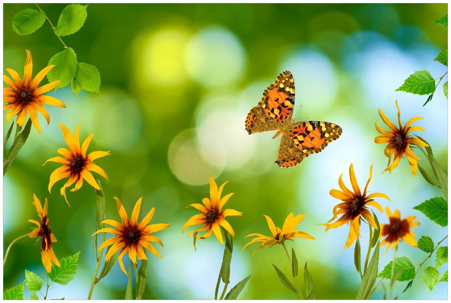 Glasbild Blumen mit Schmetterling