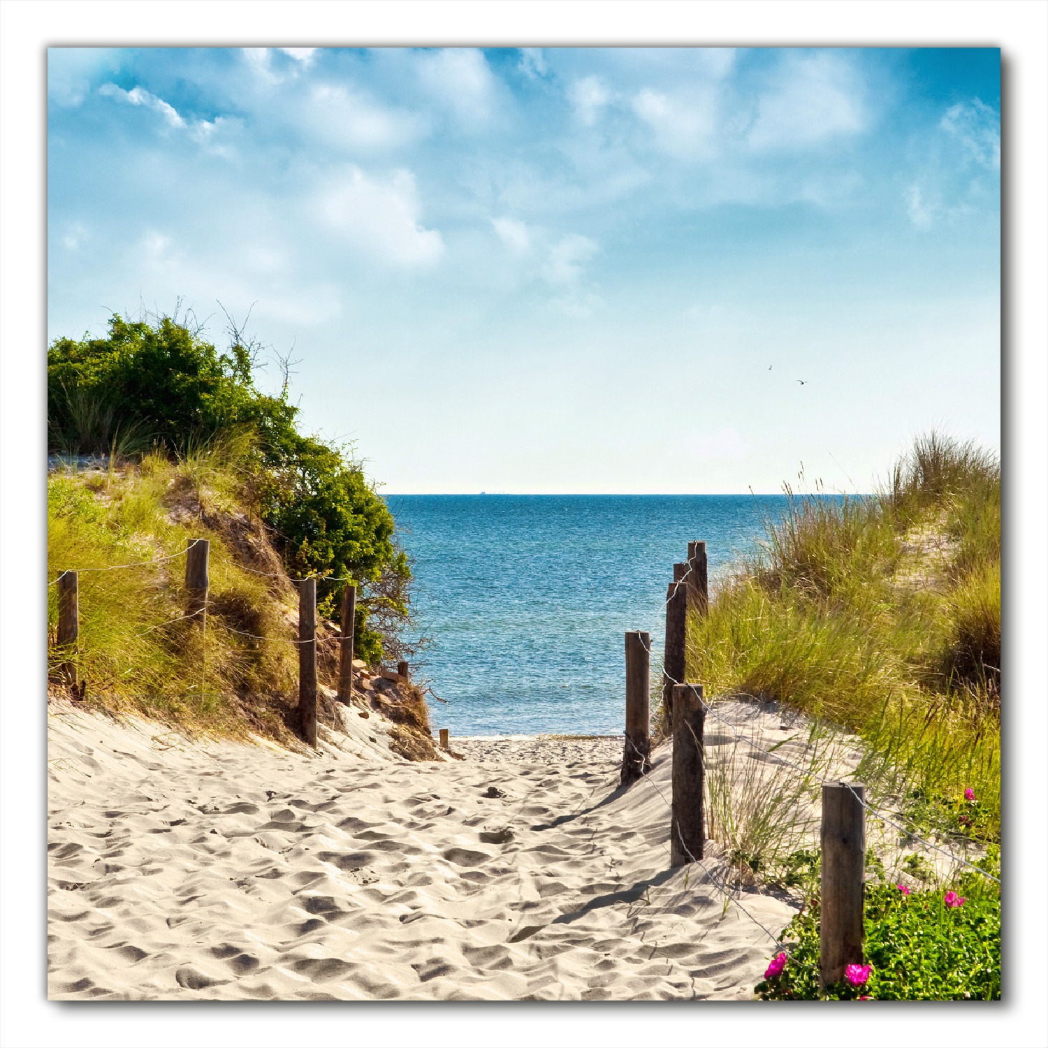 Selbstklebende Möbelfolie Auf dem Sandweg zum Strand
