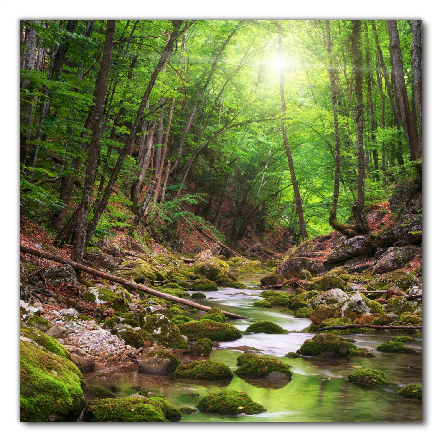 Selbstklebende Möbelfolie Fluss im Wald
