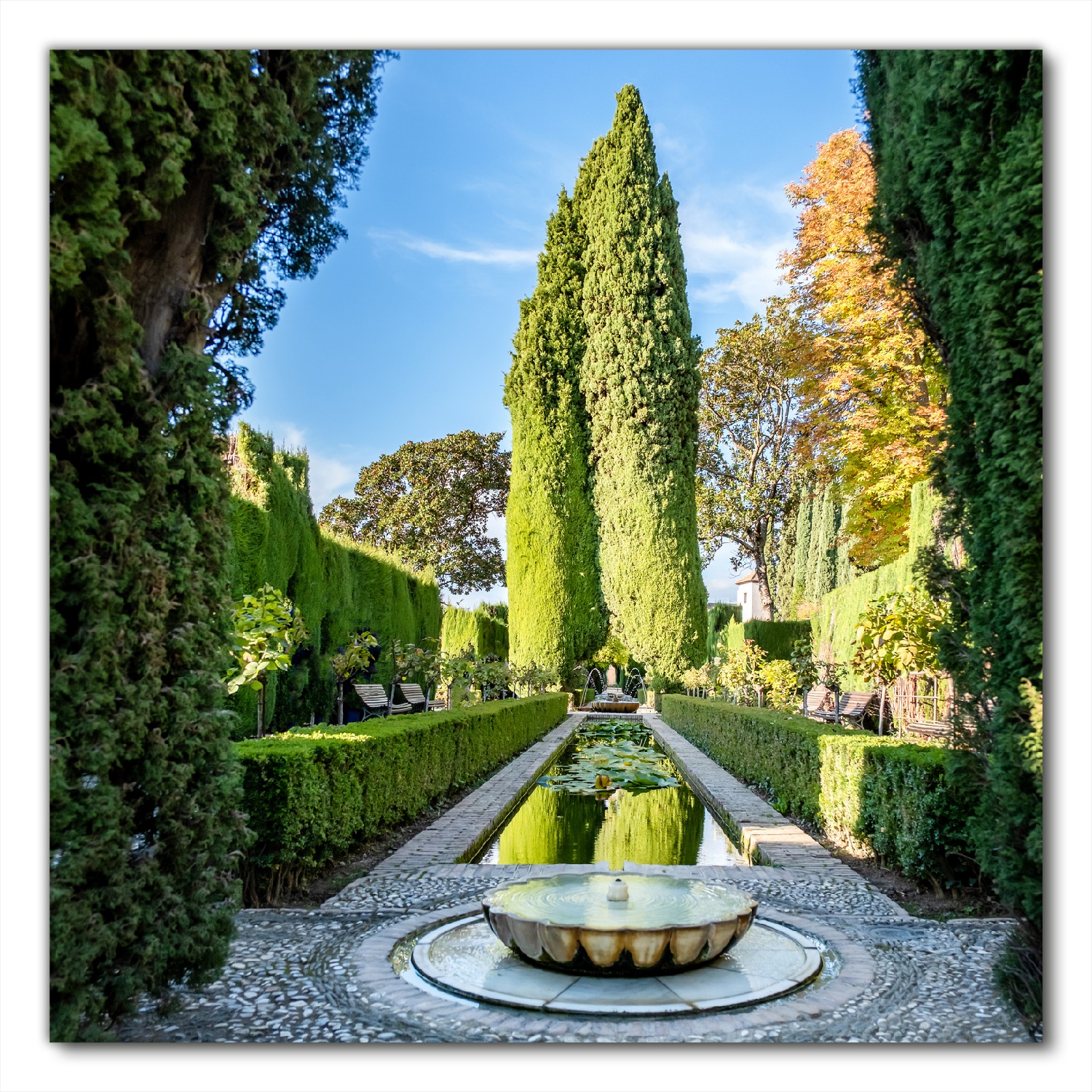 Selbstklebende Möbelfolie Garten mit Wasserbecken