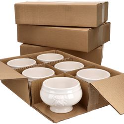 01-113092-Faiamor-Leo-Loewenkopfterrine-0-45L-24er-Set-im-Karton.jpg 45L_Bild_7