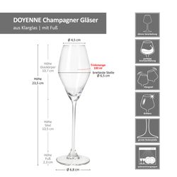 06-851717-Royal-Leerdam-Doyenne-Champagne-Glaeser-20cl-Bemassung.jpg 6er Set Doyenne Sektgläser 20 cl - 851717_Bild_6
