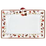 01-R2143-AUBR-AUTUMN-BREEZE-Easy-Life-Servierplatte-rechteckig-35x25cm-Einzeln-Draufsicht.jpg