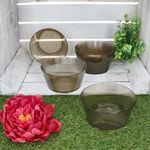 6er Set ToGo kleine Schale Grau aus Kunststoff - 10491_Bild_3