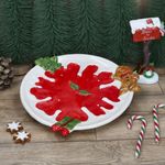 05-23000161-HIT-Weihnachtsstern-Gebaeckteller-Ambientebild-02.jpg
