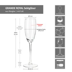 06-174724-Royal-Leerdam-Grande-Royal-Sektglaeser-Bemassung.jpg 06-174724-Royal-Leerdam-Grande-Royal-Sektglaeser-Bemassung.jpg