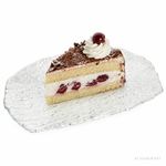05-5410020-Van-Well-St-Tropez-Glasplatte-25x17cm-2026-Einzeln-Kuchen.jpg