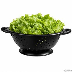 01-22180138-HIT-Seiher-schwarz-24cm-Einzeln-Frontal-01-Salat.jpg 01-22180138-HIT-Seiher-schwarz-24cm-Einzeln-Frontal-01-Salat.jpg