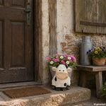 05-795251040-Blumentopf-Kuh-Niklas-Ambientebild-02.jpg