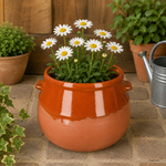 05-12974-Arte-Regal-Tontopf-Stewpot-OHNE-Deckel-2L-Ambientebild-02-KI.png