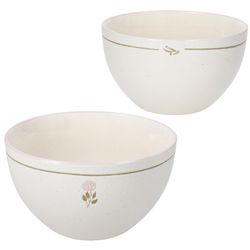 Q06000230-Koopmann-Jardin-Mueslischalen-Rosa-2er-Set.jpg Q06000230-Koopmann-Jardin-Mueslischalen-Rosa-2er-Set.jpg