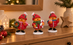 AME000010-Koopman-Pieps-Dekofigur-Weihnachtsvogel-Banner-A--02-KI.png