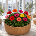 ChatGPT-Image-24--Apr--2026--09-53-19.png