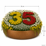 ChatGPT-Image-24--Apr--2026--08-14-17-Kopie.png