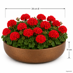 ChatGPT-Image-24--Apr--2026--08-30-46.png ChatGPT-Image-24--Apr--2026--08-30-46.png