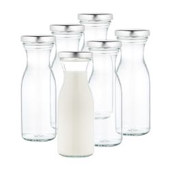 20769-6er-gefuellt.jpg 6er Set Weithalsflasche Karaffe 250 ml + To 53 Deckel silber_Bild_1