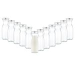 12er Set Weithalsflasche Karaffe 250 ml + To 53 Deckel silber_Bild_1