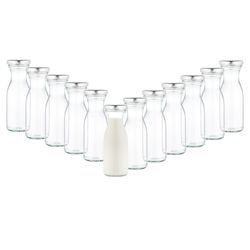20769-12er-gefuellt.jpg 12er Set Weithalsflasche Karaffe 250 ml + To 53 Deckel silber_Bild_1