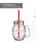 4er Set Vivalto Sole Henkelbecher mit Strohhalm Rot 485ml_Bild_3