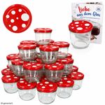 02-Sturzglas-230ml-TO82-Fliegenpilz-100er-Set-KI.jpg