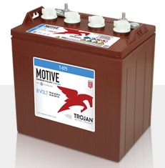 Trojan T-875 Batterie 8 Volt 170Ah
