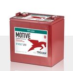 Trojan-T875-AGM-Batterie-8-Volt-160Ah.jpg
