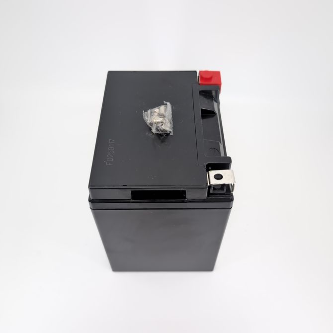 Melex Puffer Batterie für Servolenkung 12V Gel