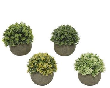 Pflanze Topf Blumen Dekoration grün Ø12/H13cm Stückpreis