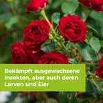 4000680111771-5.jpg