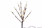 482175.jpg