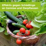4000680111733-5.jpg