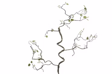 Kunst Haselzweig 73x87cm grün Dekozweig Ostern
