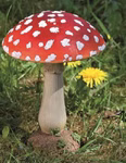 2501000B.jpg