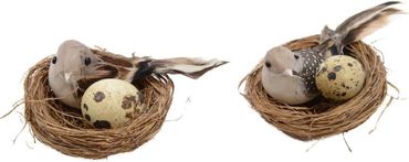 Dekofigur Osternest Feder Draht mit/ohne Punkte 2-teilig Box