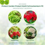 3664715080329-3.jpg