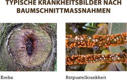 4062700830185-4.jpg 4062700830185-4.jpg