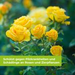 Curamat-Pilzfrei-1Liter-Neu-3.jpg