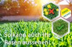 4062700632321-6.jpg