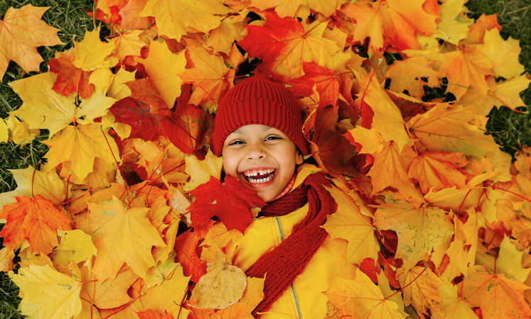 Großer Herbstsale