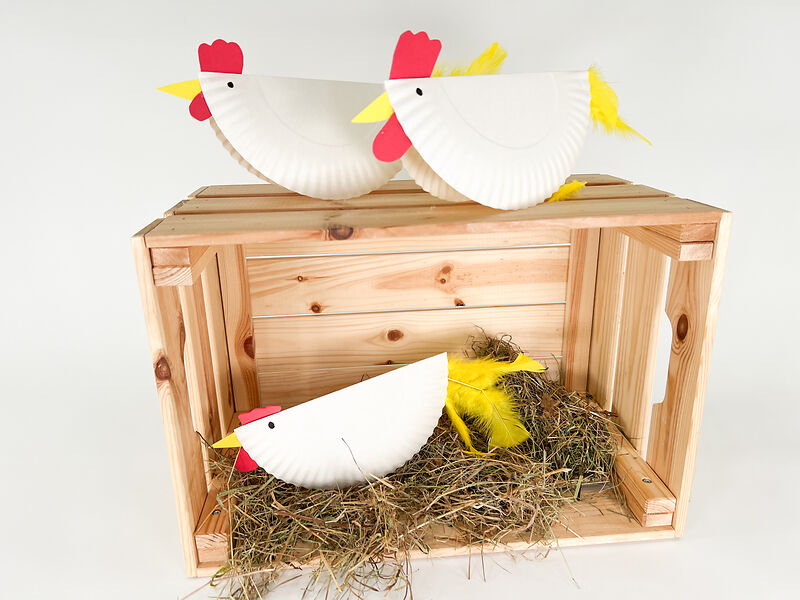 Einwegteller 23 Cm Pappteller 23 Cm – Karnevalszirkus-Party – 8 Stück – Einweggeschirr Für Kindergeburtstag