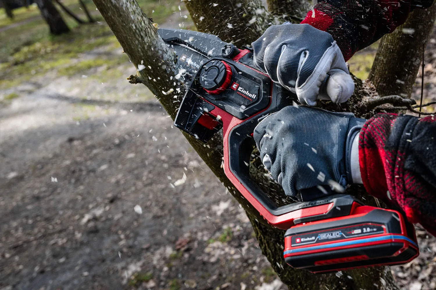 Einhell Winter-Ready-Kampagnenmotiv: kabellose Gartenarbeit mit einer Astkettensäge.
