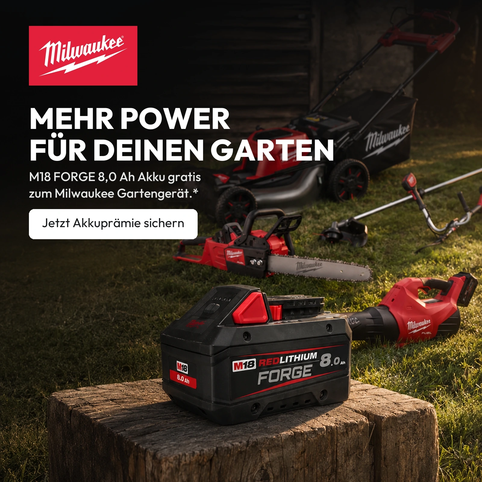 Zur Milwaukee Prämienaktion