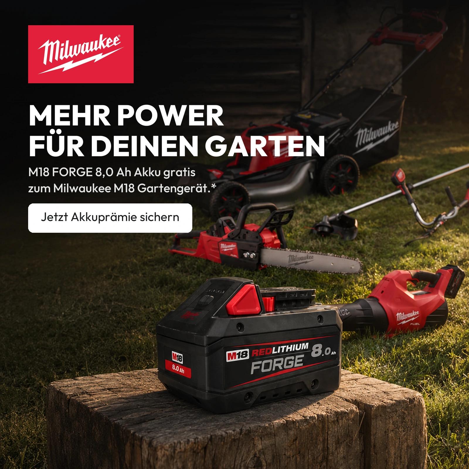 Zur Milwaukee Prämienaktion