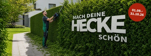 Weg mit der Hecke Thumbnail